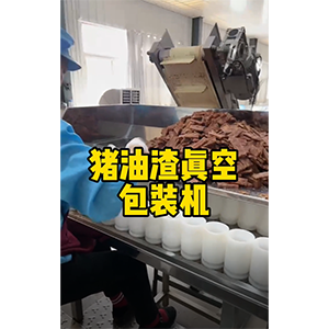 豬油渣真空包裝機(jī)